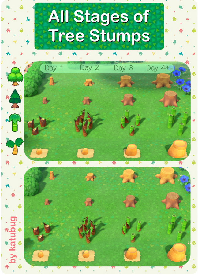 All tree stump stages